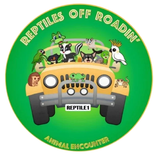 Reptiles Off Roadin'